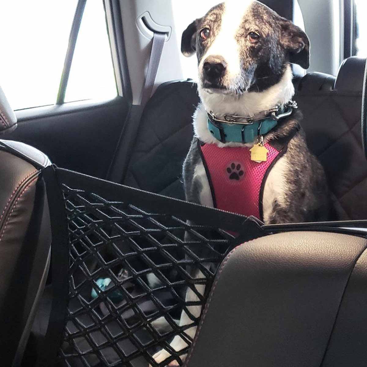 Pet Dog Rear Seat Car Fence Do - Partition Screen Divider review and price